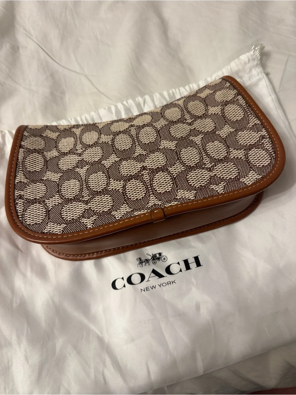 Disney x Coach 50th anniversary crossbody